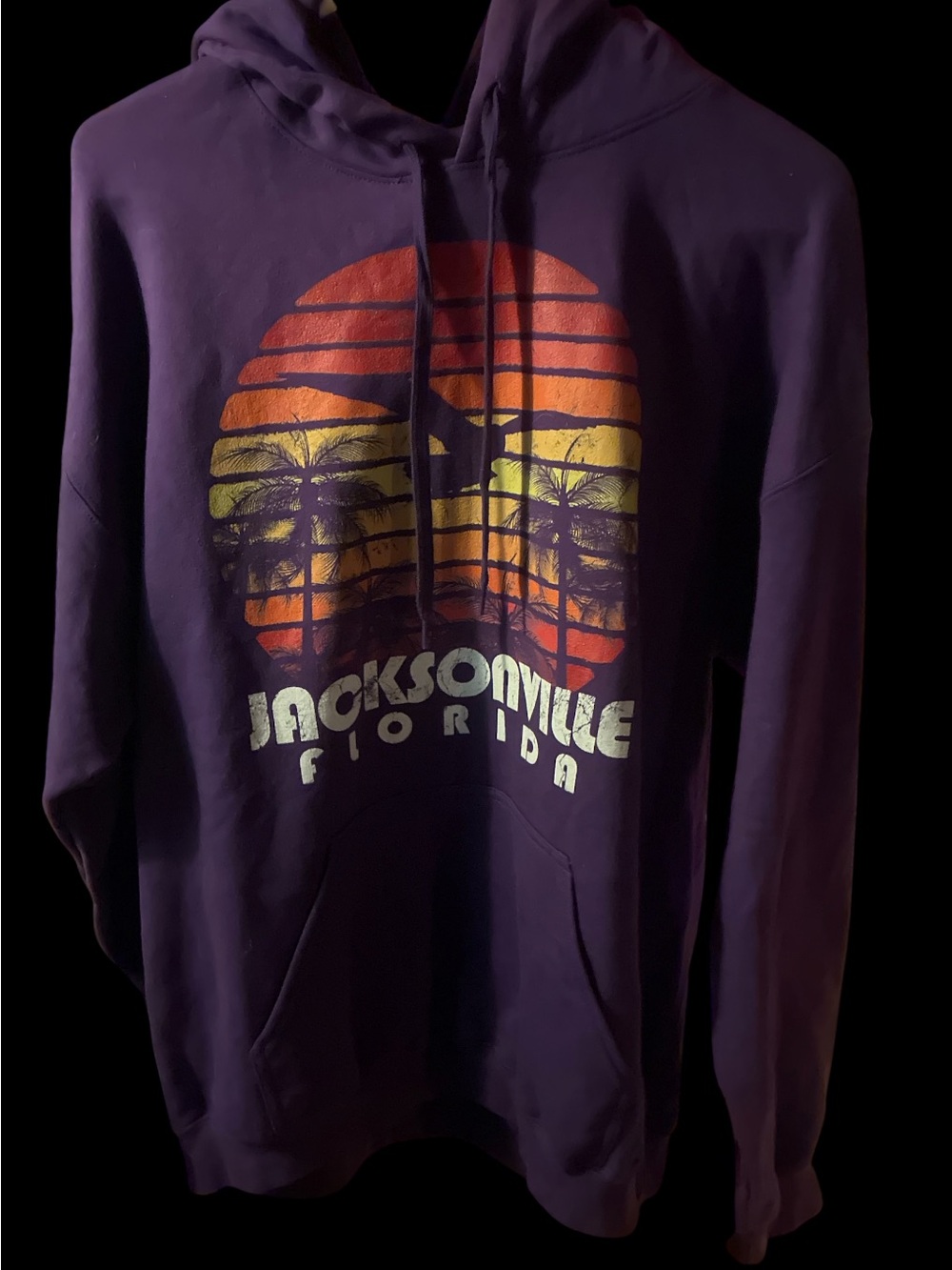 Gildan Jacksonville Florida Sunset Palm Tree Purple Hoodie Large L